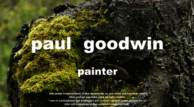 paulgoodwinpainter.com