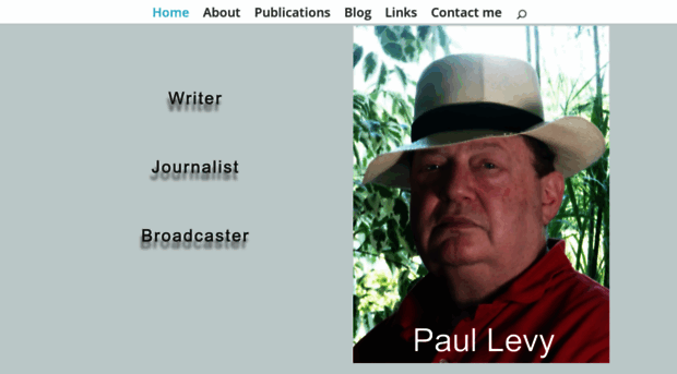 paullevy.com