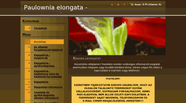 paulownia-elongata-magyarorszag.com
