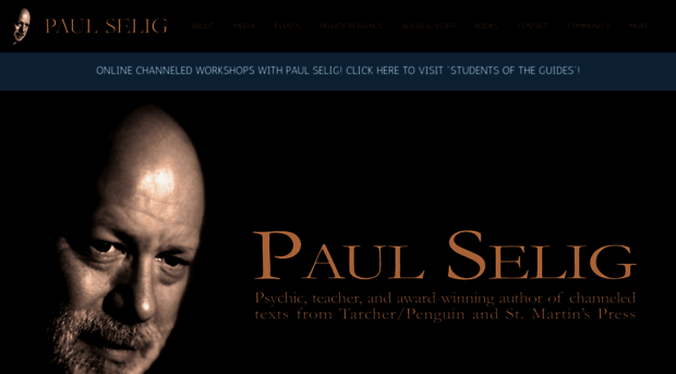 paulselig.com