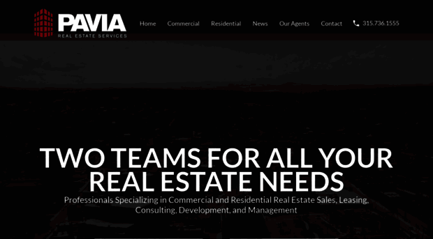 paviarealestate.com