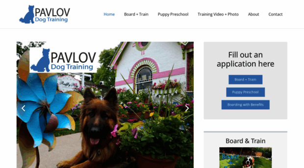 pavlovdogtraining.com