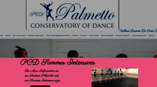 pavlovichdanceschool.com