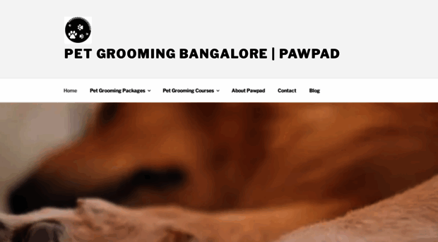 pawpad.in