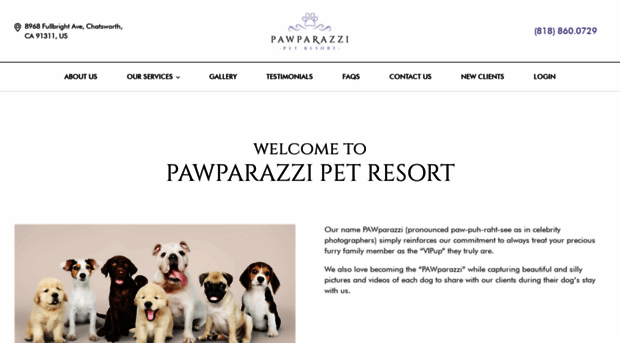 pawparazzidogs.com