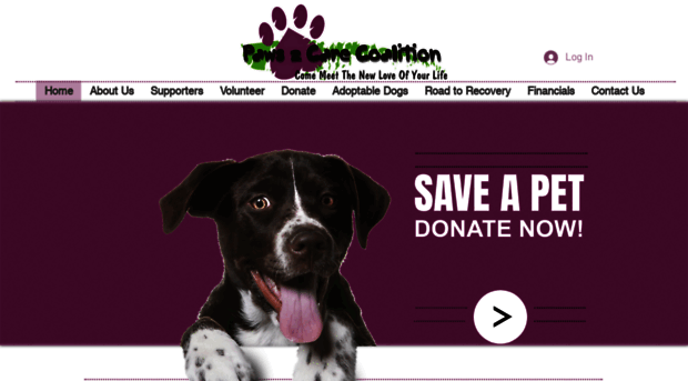 paws2carecoalition.org
