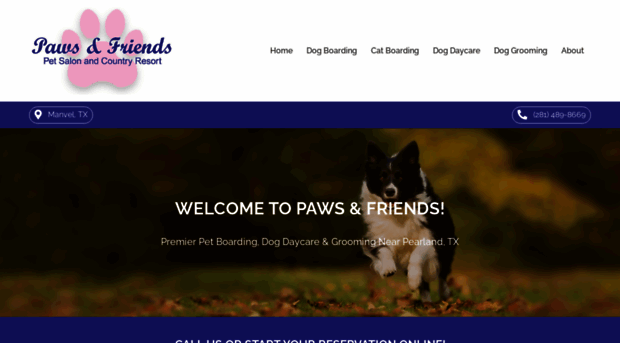 pawsandfriends.com