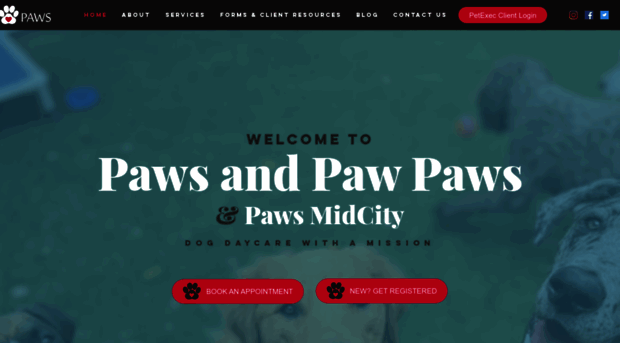 pawsandpawpaws.com