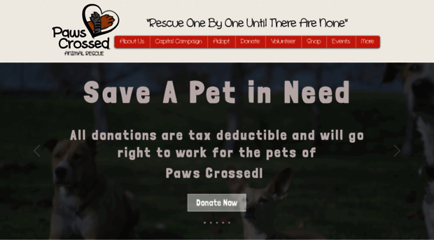 pawscrossedny.org
