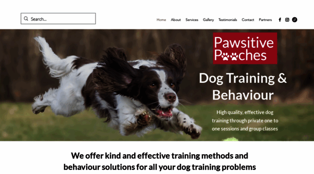 pawsitive-pooches.co.uk