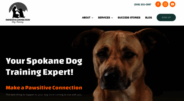 pawsitiveconnectiondogtraining.com