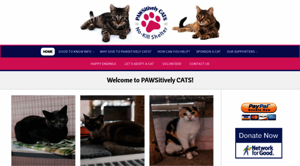 pawsitivelycats.org