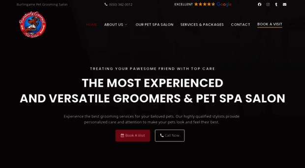 pawsitivelygroomedpetsalon.com