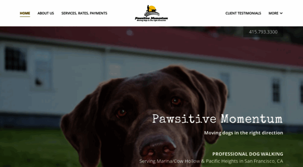 pawsitivemomentum.com