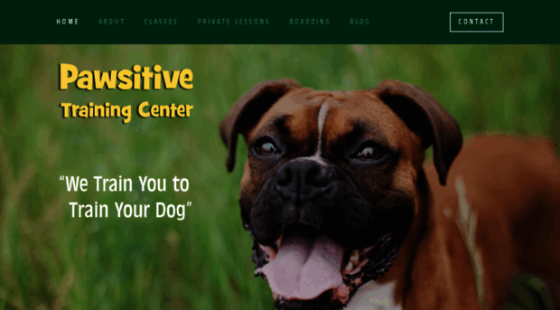 pawsitivetrainingcenter.com