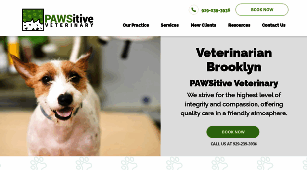 pawsitiveveterinary.com