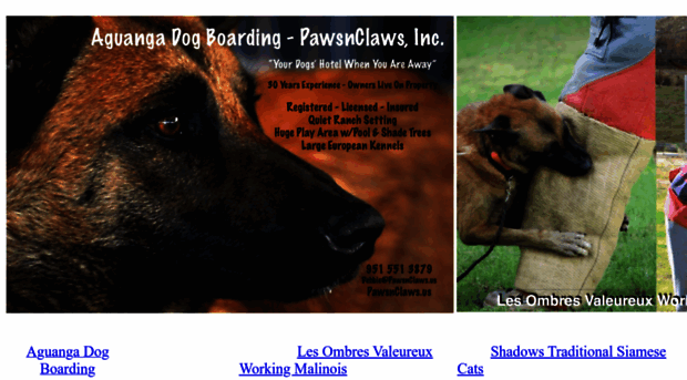 pawsnclaws.us