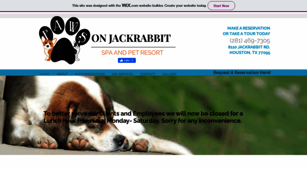 pawsonjackrabbit.com