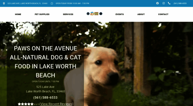 pawsontheavenue.com