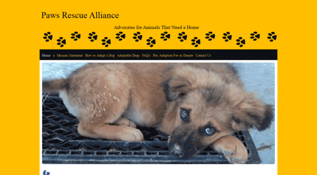 pawsrescuealliance.com