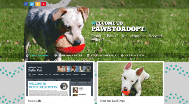 pawstoadopt.com