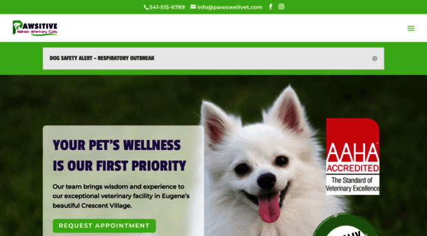 pawswellvet.com