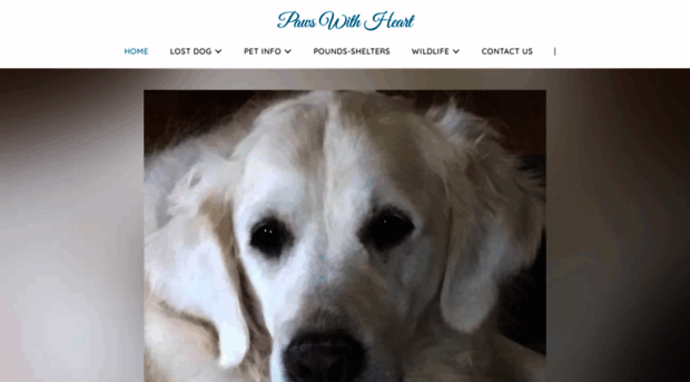 pawswithheart.com