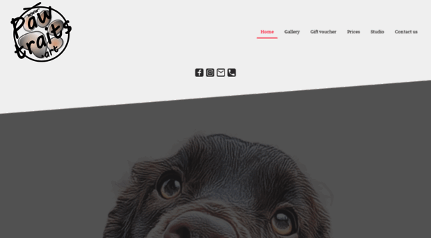 pawtraits.art