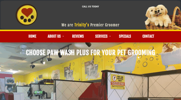 pawwashplus.com