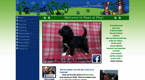 pawzatplay.com