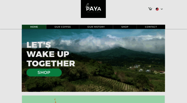 paya-coffee.com