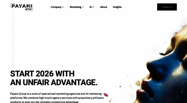payanigroup.com