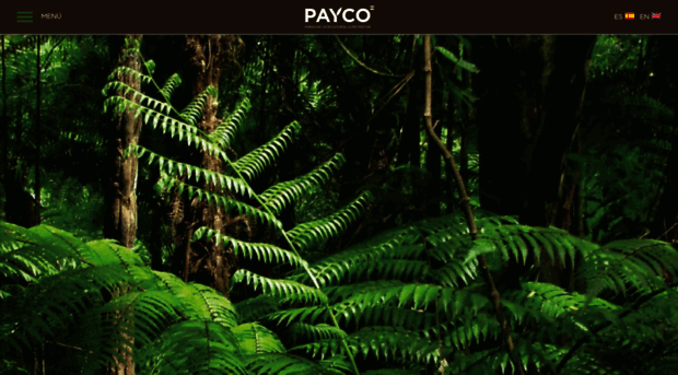 payco.com.py