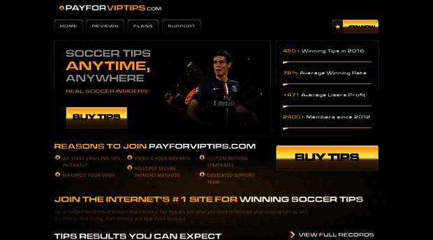 payforviptips.com