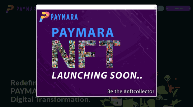 paymara.com