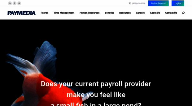 paymedia.net