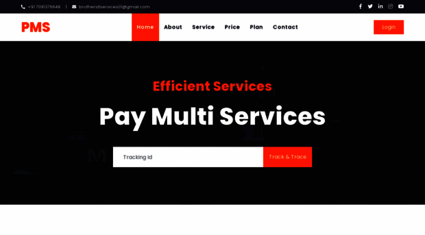 paymultiservices.in