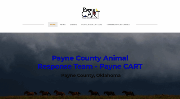 paynecart.org