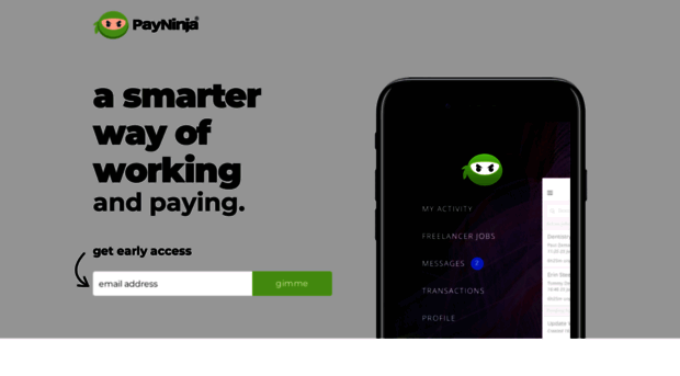 payninja.co