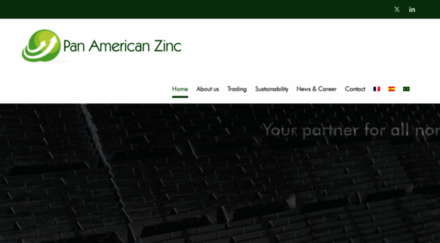 pazinc.com