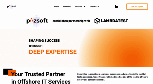 pazsoft.com