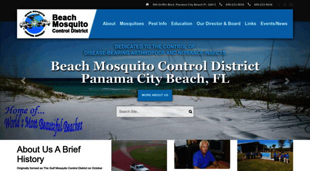 pcbeachmosquito.org