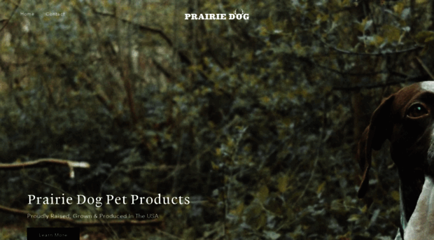 pd-pp.com
