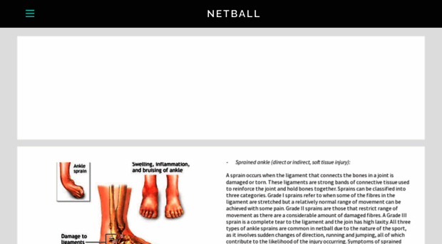 pdhpe-assignment-netball.weebly.com