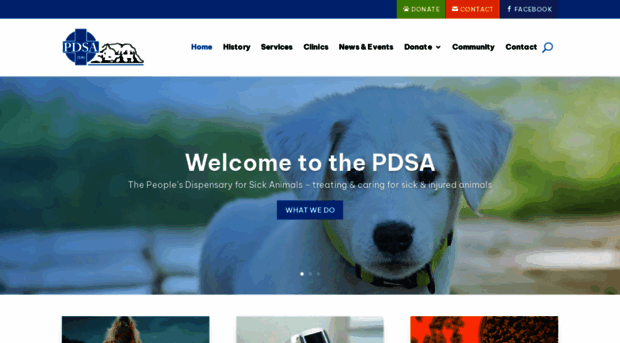 pdsa.org.za