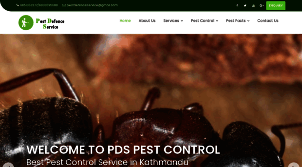 pdspestcontrolservice.com