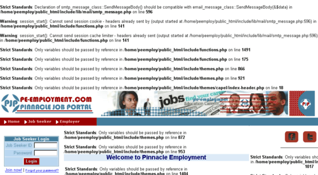 pe-employment.com