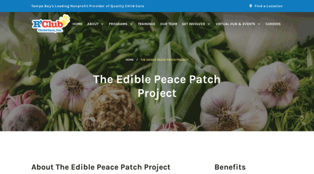 peacepatch.org
