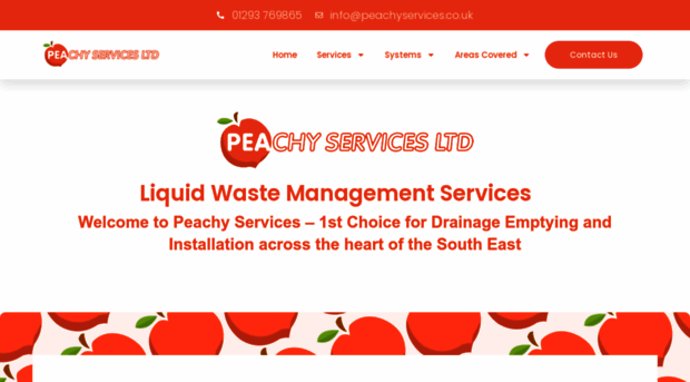 peachyservices.co.uk