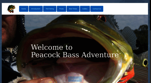 peacockbassadventures.net